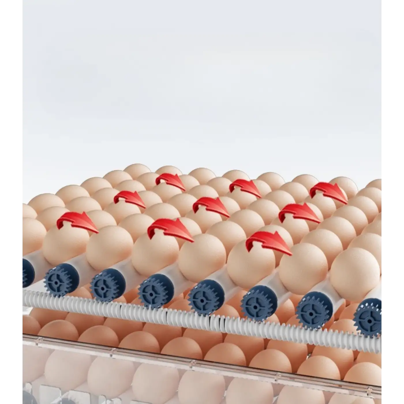 Epo-W64 Tam Otomatik Kuluçka Makinesi 64 Yumurta Kapasiteli Civciv Kaz Ördek Uyumlu + Yedek Motor