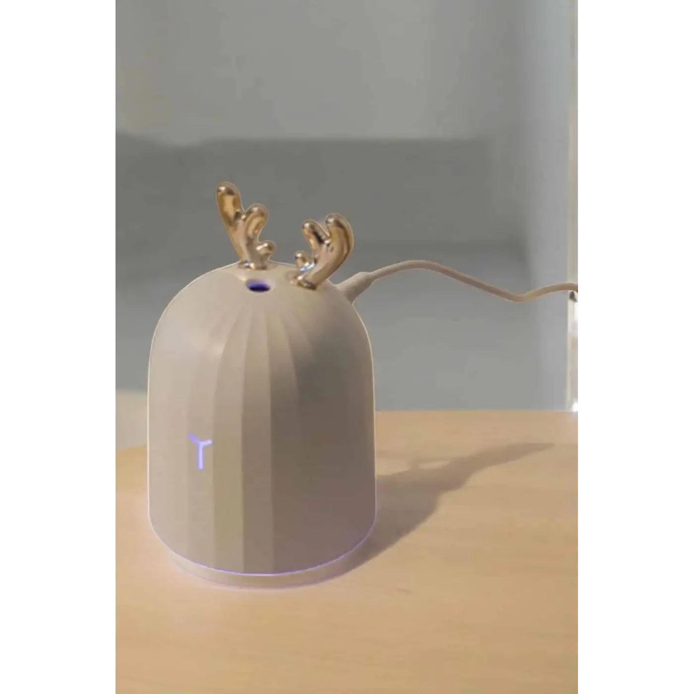 Aromaterapi Hava Temizleyici Buhar Makinesi Taşınabilir Şarjlı