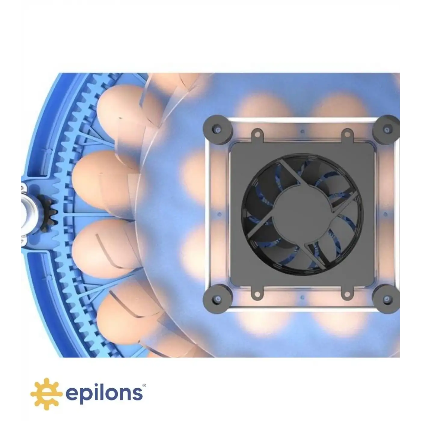 240 Kuş Yumurta Kapasiteli Otomatik Çiftlik Kuluçka Makinesi : Yumurta, Bıldırcın ve Kanatlılar İçin MZ-240