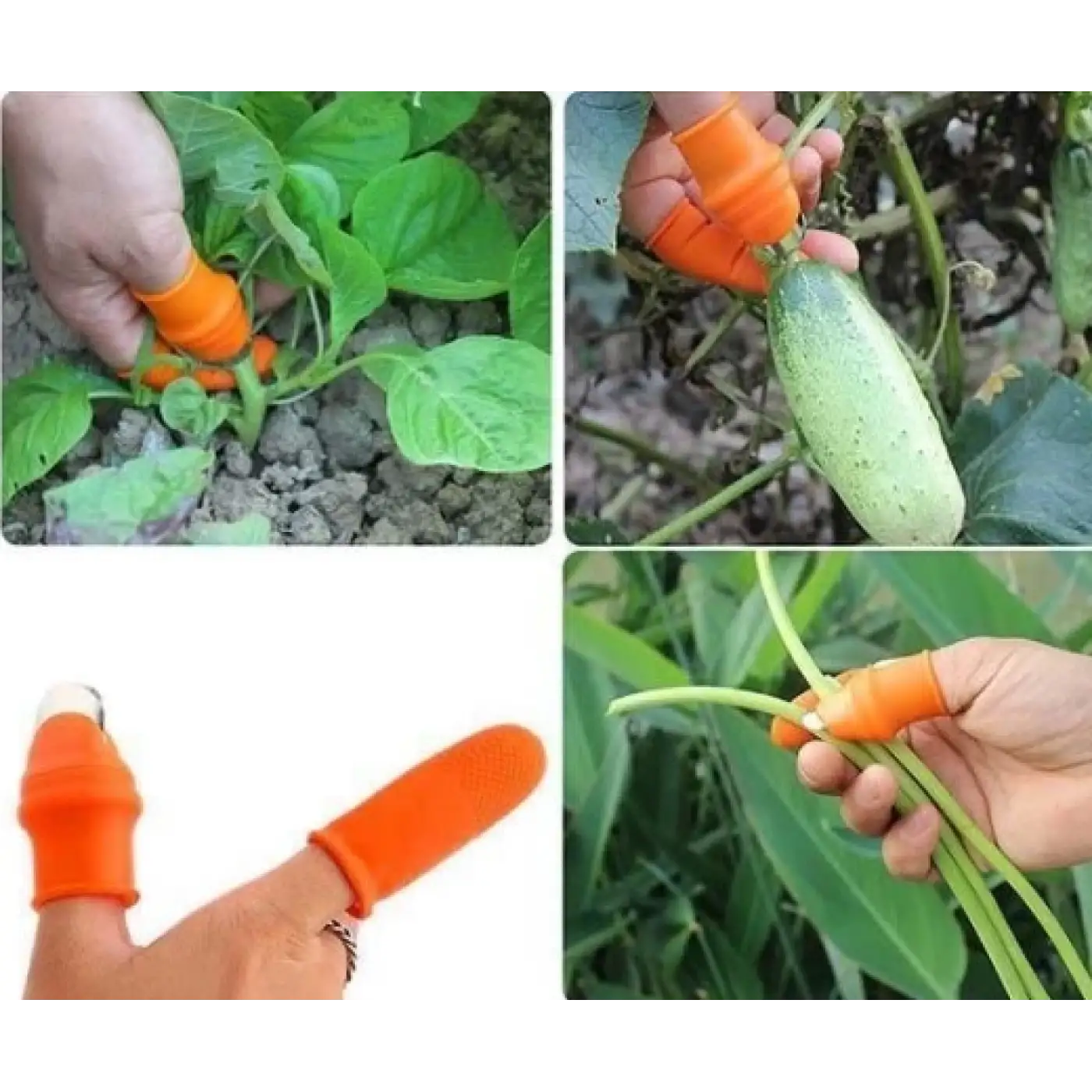 Pratik Pratik Baş Parmak Sebze Kesme Ayıklayıcı Erkek L Set