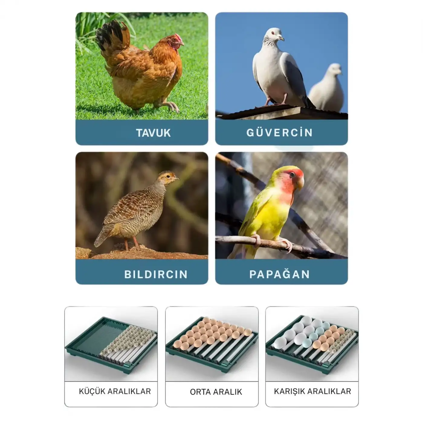 Slim Yeni Model 130’lu Gün Sayaçlı Otomatik Kuluçka Makinesi – Tavuk Kaz Ördek Kuş Yumurtası Uyumlu