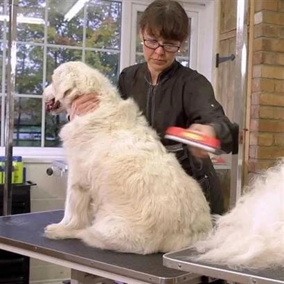 23 Kg Üzeri Uzun Tüylü Köpekler Için Tüy Toplayıcı Ergonomik Tarak