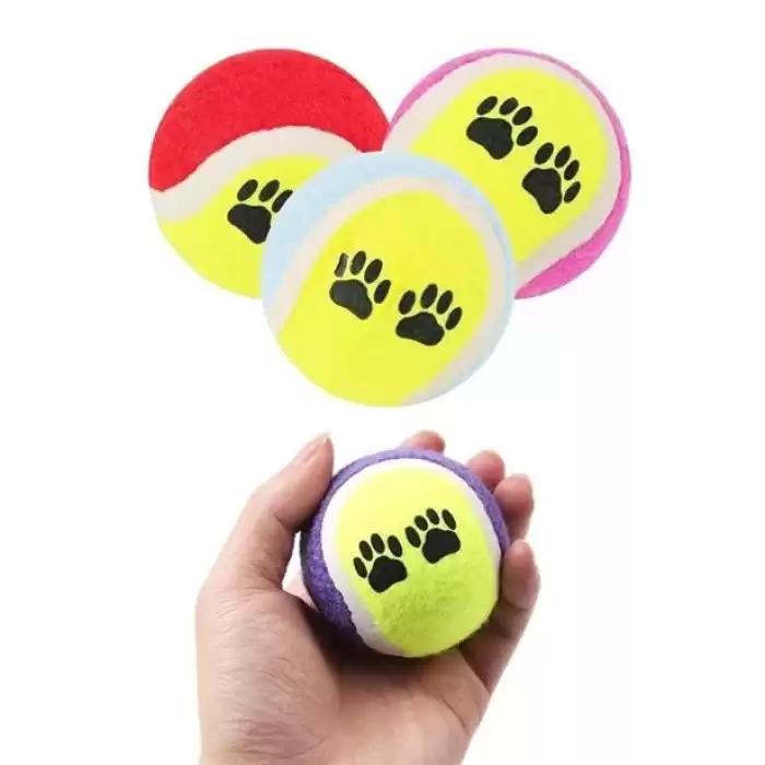 3lü Renkli Desenli Tenis Topu Kedi Köpek Oyuncağı