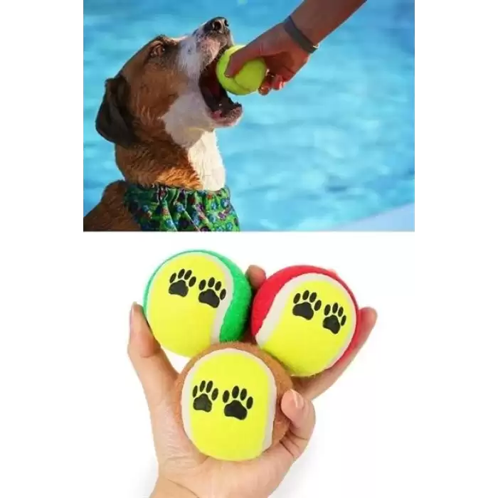 3lü Renkli Desenli Tenis Topu Kedi Köpek Oyuncağı