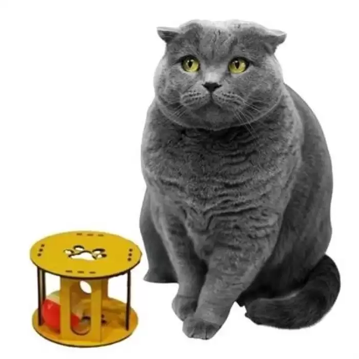 Ahşap Kafes Renkli Toplu Kedi Patisi Desenli Sesli Kedi Oyuncağı
