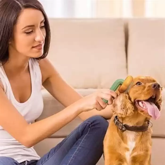 Buffer Plastik Pembe Evcil Hayvan Bakım Pet Fırçası Çok Amaçlı Pet Fırçası Pembe