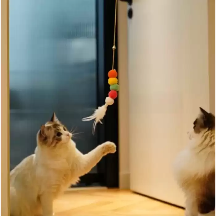 Pratik Elastik Kendinden Yapışkanlı Kedi Oyun Oltası