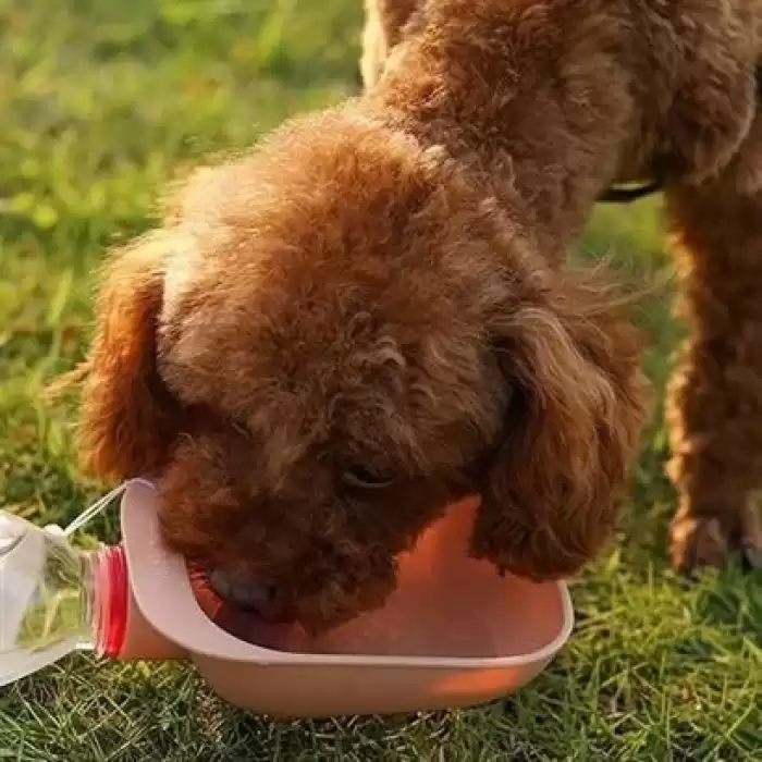 Evcil Hayvan Plastik Yıkanabilir Taşınabilir Su Şişesi Bağlantılı Su Kabı