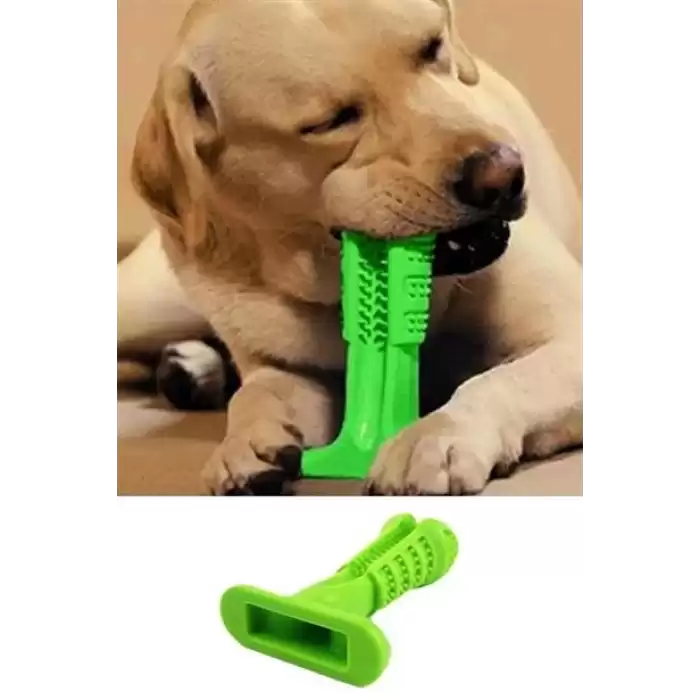 Köpek Diş Temizleyici ve Kaşıyıcı Sağlıklı Küçük Boy Oyuncak