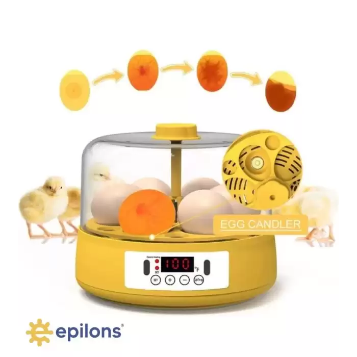 Mini Otomatik Ev Tipi Kuluçka: Elektrikli Tavuk ve Kuş Kuluçka Makinesi 6 Yumurtalı MX-6