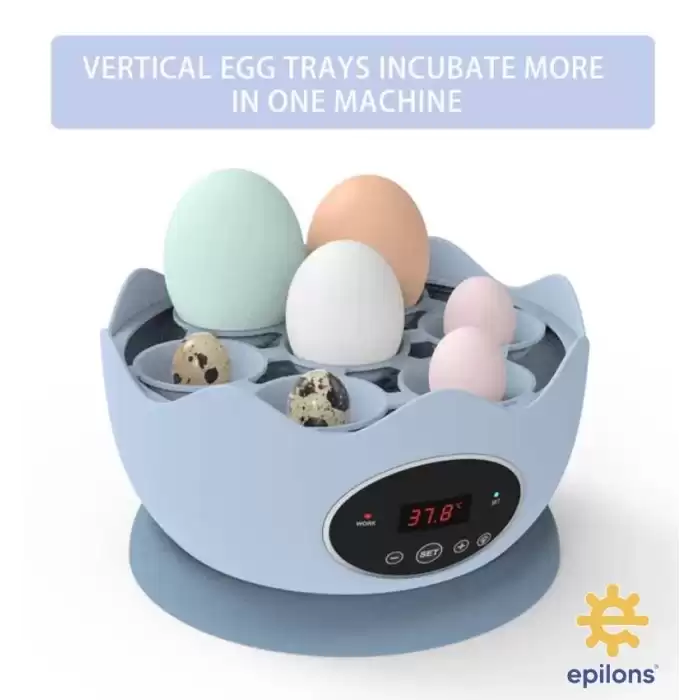 Mini Ev Tipi 7 Yumurtalık Kuluçka Makinesi Epo07 | Yumurta Kuluçka Cihazı