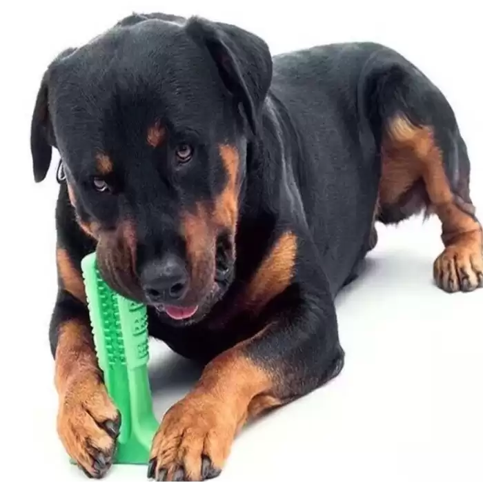 Pratik Köpek Diş Fırçası Isırma Aparatı Büyük Boy