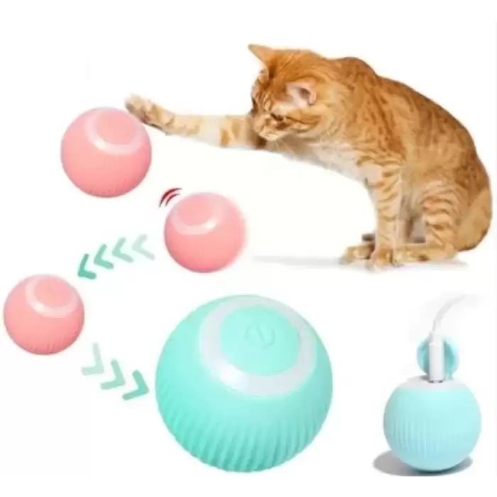 Pratik Otomatik Yuvarlanan Kedi Oyun Topu