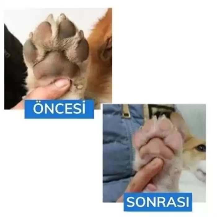 Silikon Jel Fırçalı Kedi Köpek Pati Ayak Temizleme Kovası Büyük