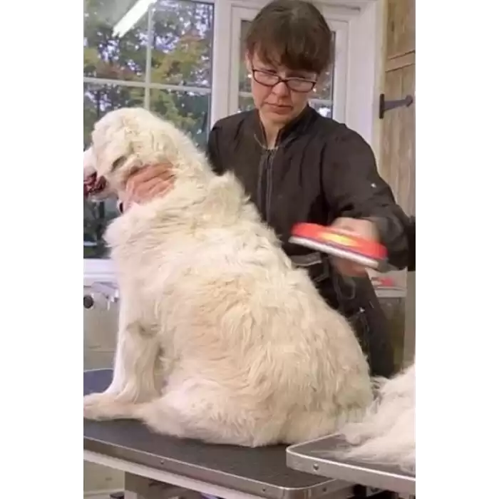 Uzun Tüylü Köpekler İçin Kolay Tarama Fırçası Temizlenebilir Çelik Tarak Tüy Toplayıcı Mediu