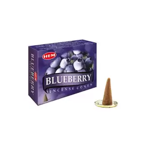 Blueberry Cones