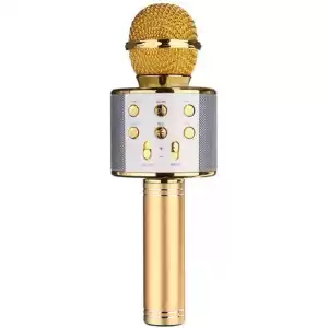 Pm-17185 Bluetooth-sd-aux-fm Kablosuz Karaoke Mikrofon