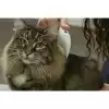 Flea Doctor Pet Hayvanlar İçin Haşere Öldürücü Pilli Pire Tarağı