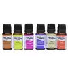 Fresh Assorted Fragrance Oil Ucucu Esans Yağı 24lü Set