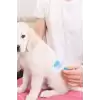 Kedi Köpek Tüy Toplayıcı Kendini Temizleyebilen Ergonomik Saplı Evcil Hayvan Tarağı Mavi