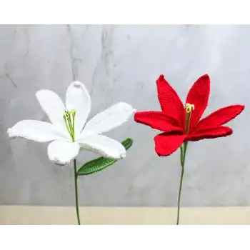 El Örgüsü Zambak Çiçeği