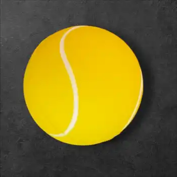 Evcil Hayvan Oyun Topu Small