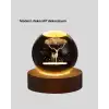 3D Geyik Desenli Kristal Küre USB Işıklı Ahşap Tabanlı Oda Lambası