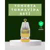 Ateşe Dayanıklı Tornavida Seti Elektronik Tamir İçin Çok Uçlu