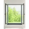 ÇİFT KANATLI SİNEKLİK