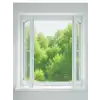 ÇİFT KANATLI SİNEKLİK