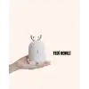 El Tipi USB Mini Soğuk Mist Nemlendirici 220 ml Tank