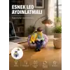 Okuyan Çift Figürlü Dekoratif Gece Lambası Hediye Seçeneği