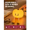 Pumpkin LED Gece Lambası Üç Kademeli Işık Ayarlı Yeni Nesil