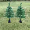 Solar Dekoratif Çam Ağacı