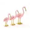 3lü Flamingo