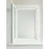 TEK KANATLI SİNEKLİK