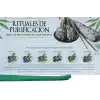 White Sage Cleansing Collection Hexa Gift Pack