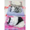 Yastıkta Uyuyan Kedi Sesli Alk24