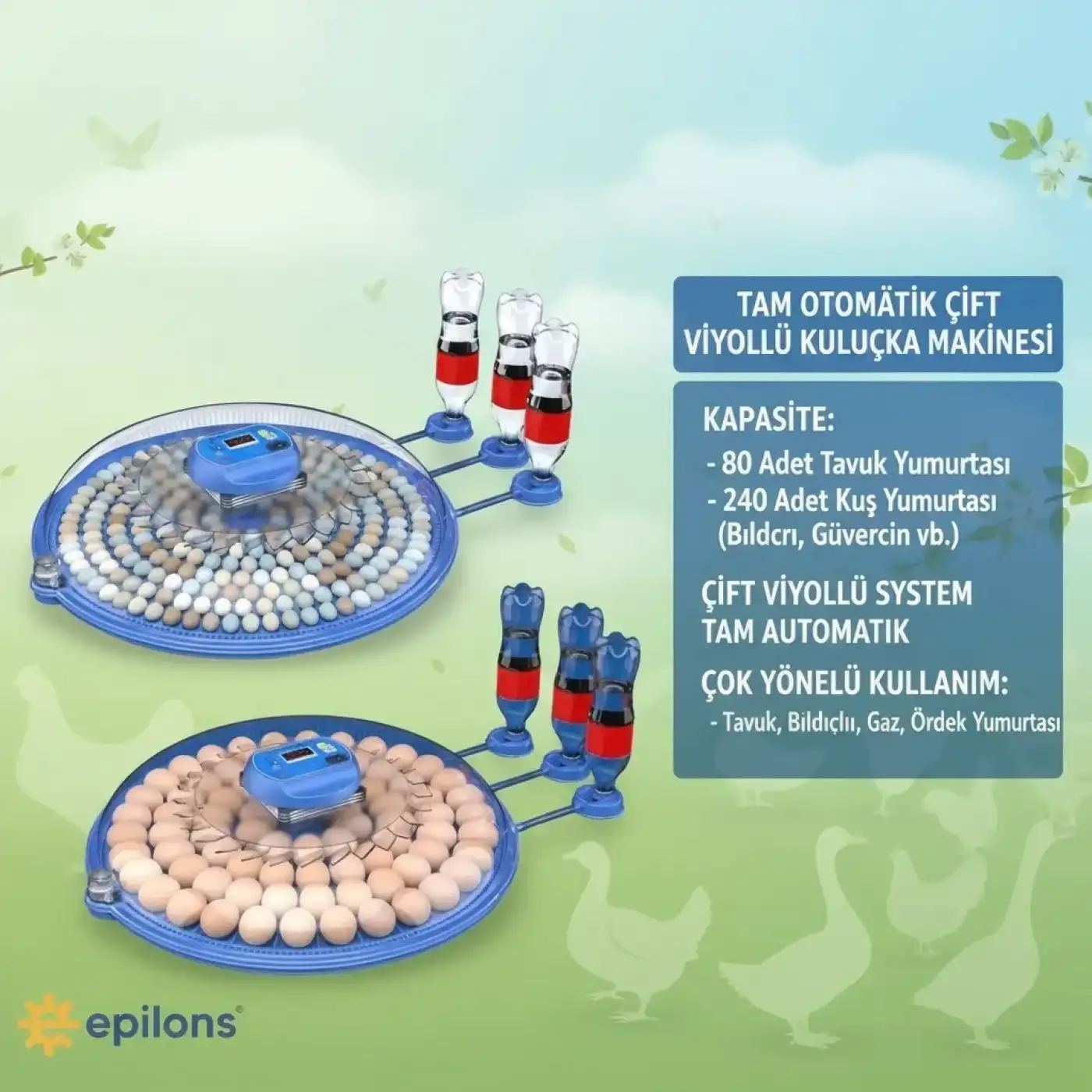 80 ve 240 Kapasiteli Fonksiyonel Tam Otomatik Kuluçka Papağan Mini Kuş Tavuk Kaz Ördek Uyumlu