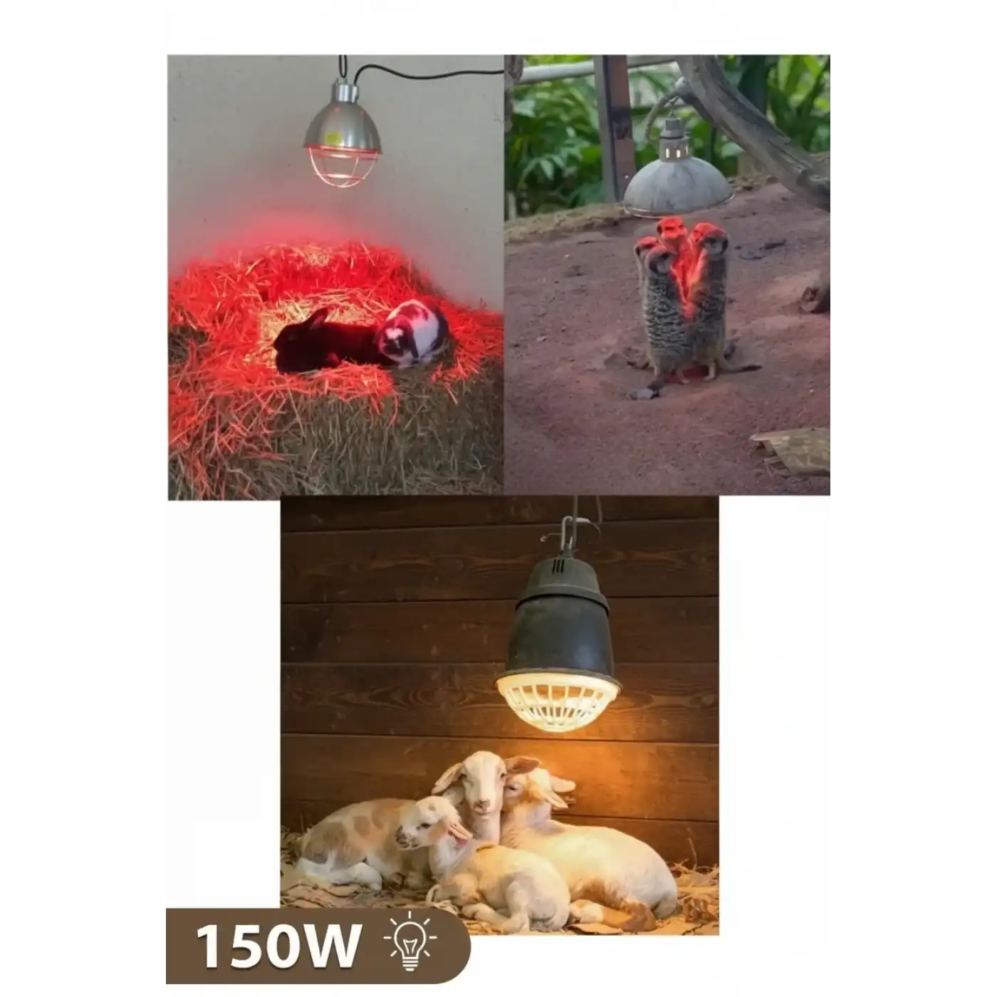 150W Kızılötesi (infrared) Isıtıcılı Hayvan Isıtma ve Kuluçka Lambası (Kırmızı Işık) E27 (Kalın Duy)