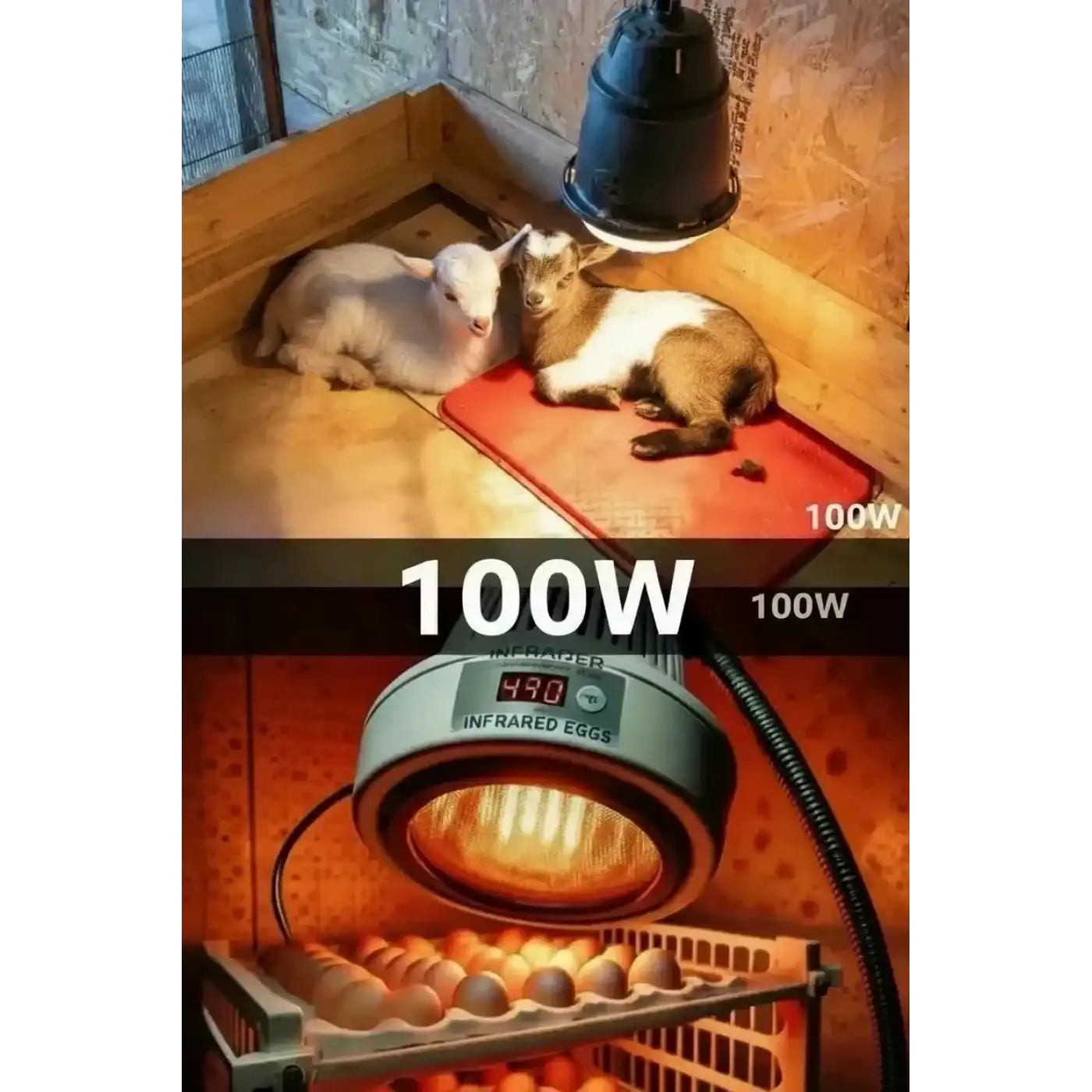 100W Kızılötesi (infrared) Isıtıcılı Hayvan Isıtma ve Kuluçka Lambası (Kırmızı Işık) E27 (Kalın Duy)