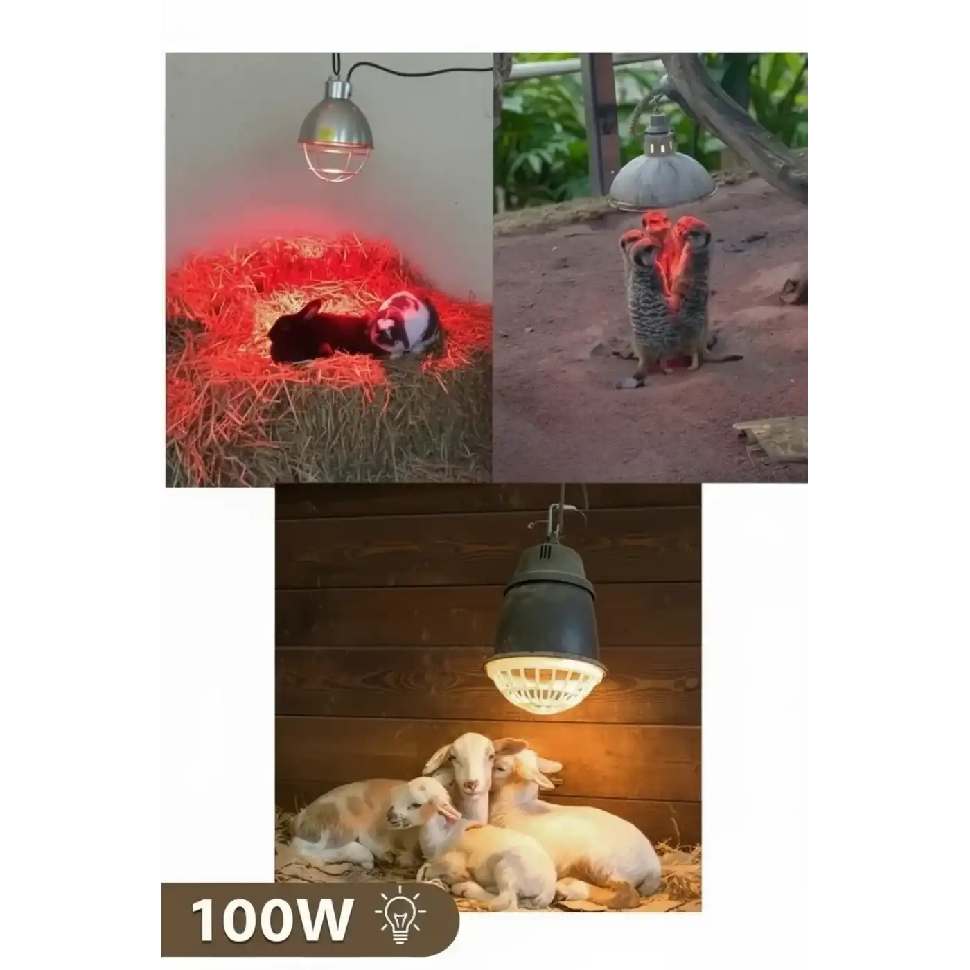 100W Kızılötesi (infrared) Isıtıcılı Hayvan Isıtma ve Kuluçka Lambası (Kırmızı Işık) E27 (Kalın Duy)