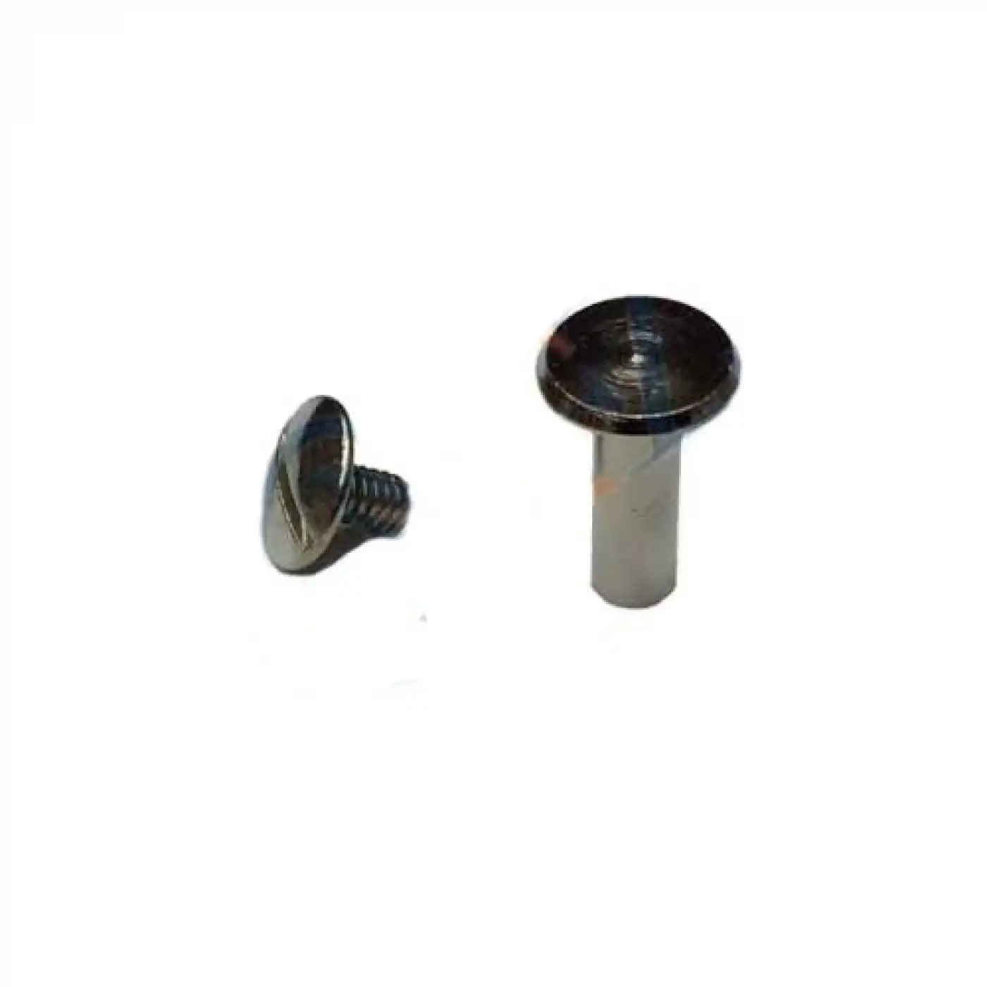 Cilt Menü, Katalog, Kartela Vidası, 6 Mm - Nikel, 100 Adet