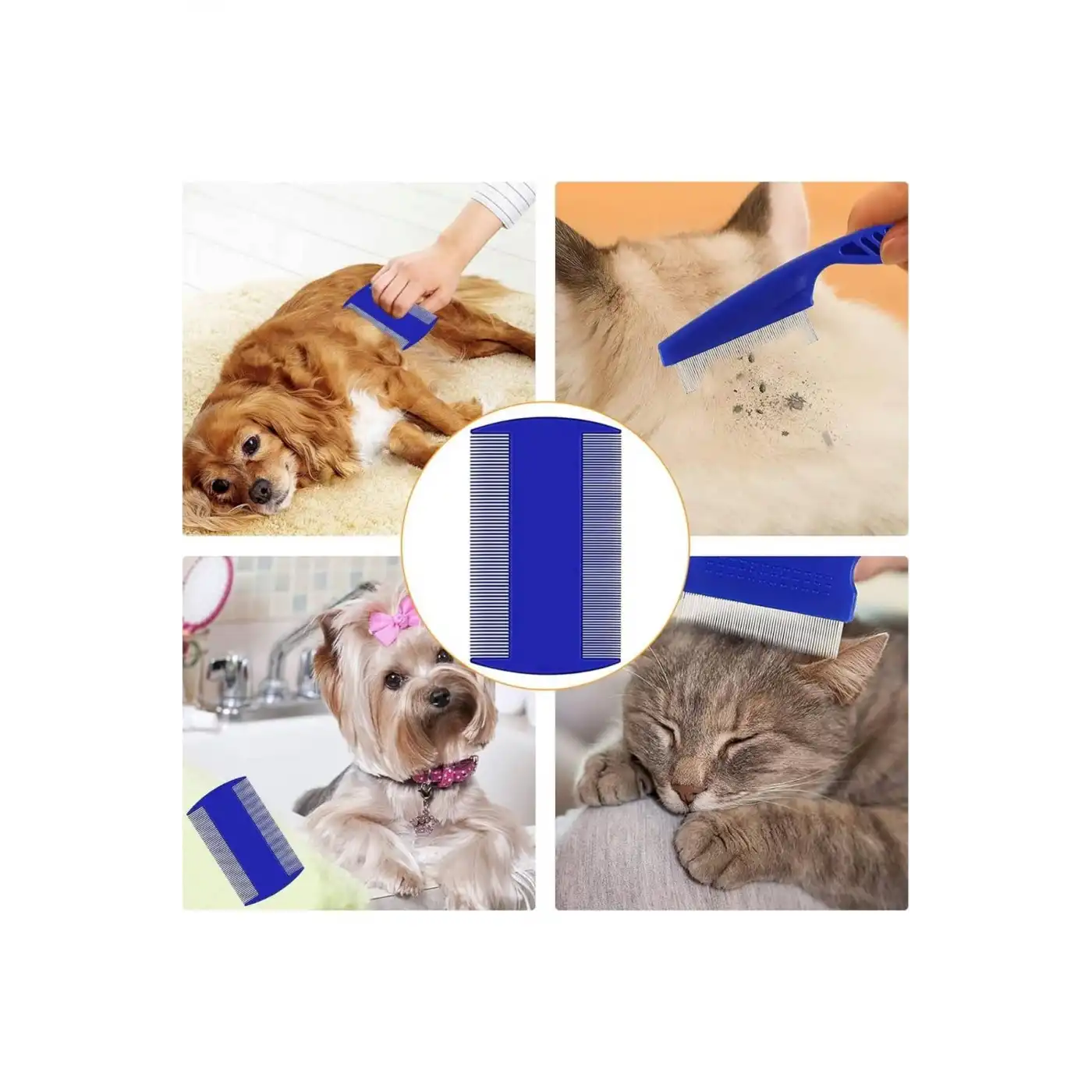 Evcil Hayvan Tarak Seti 4lü Bit Tarağı Ked Köpek Tüyüne Uygun