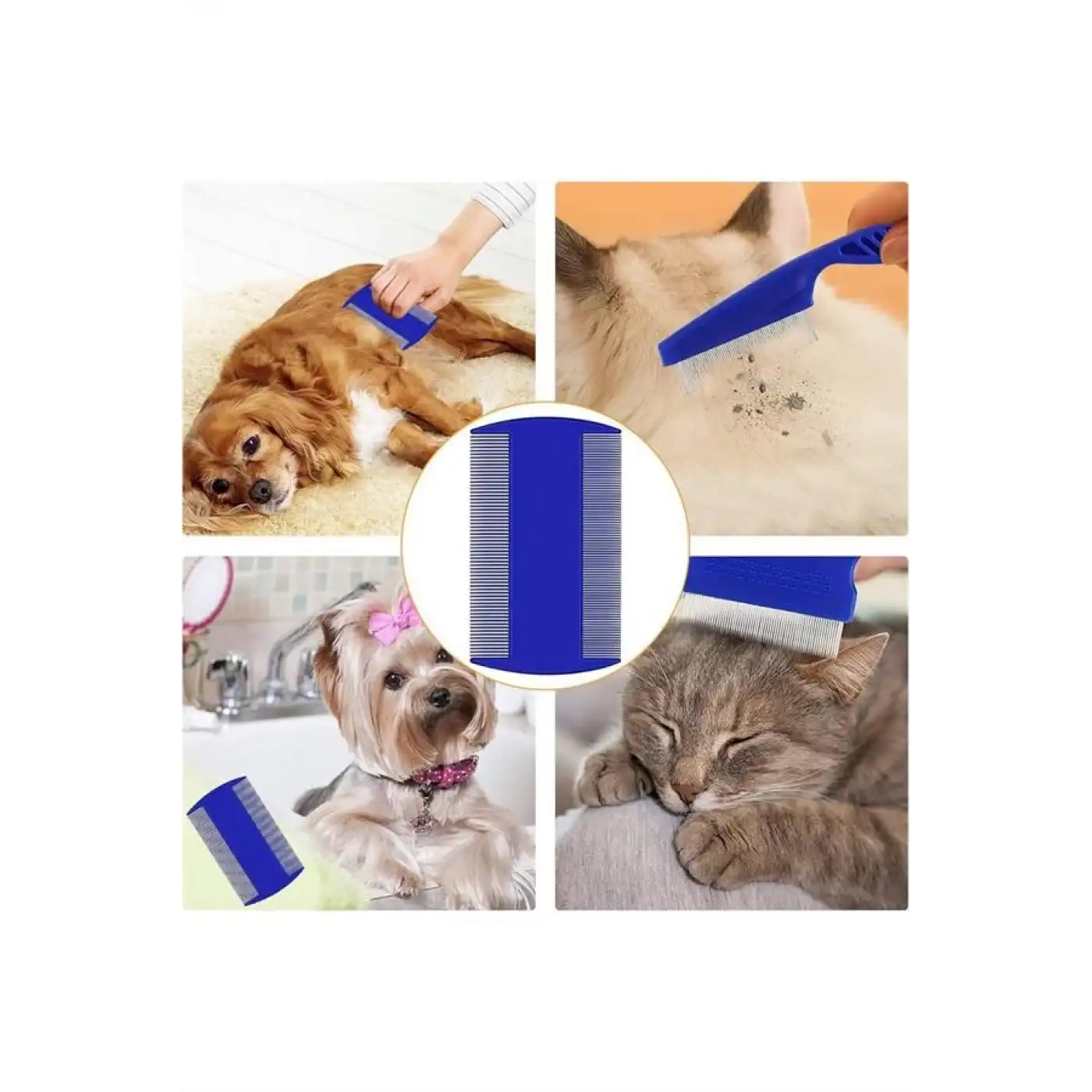 Evcil Hayvan Tarak Seti 4lü Bit Tarağı Ked Köpek Tüyüne Uygun