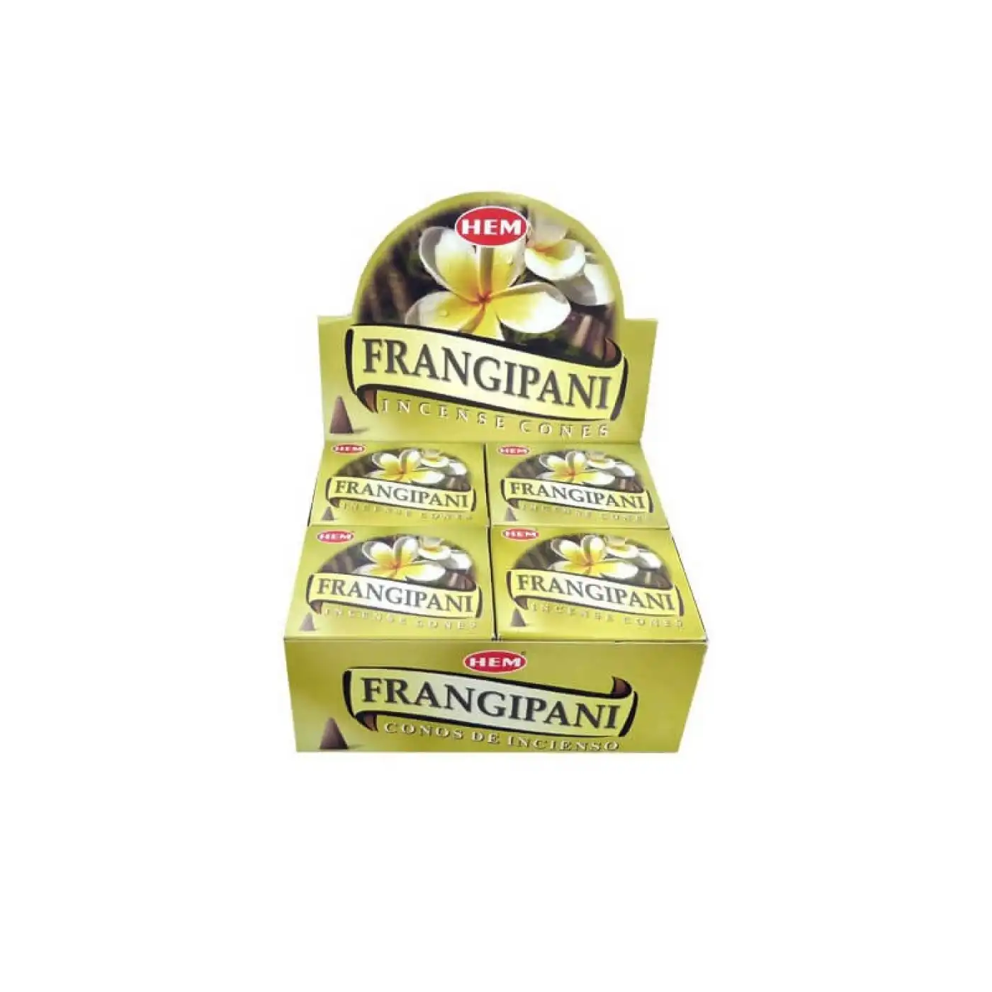 Frangipani Cones