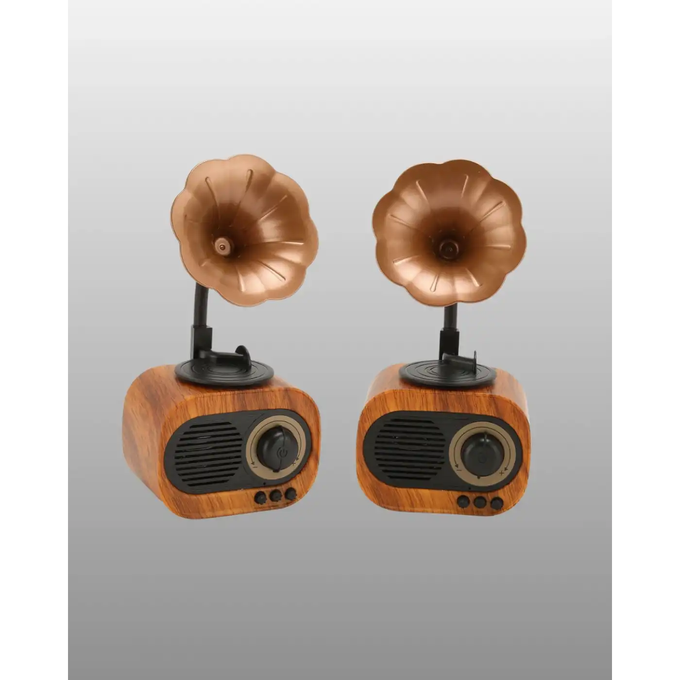 Mini Nostaljik Bluetooth Hoparlör FM Radyo 8 Saat Batarya