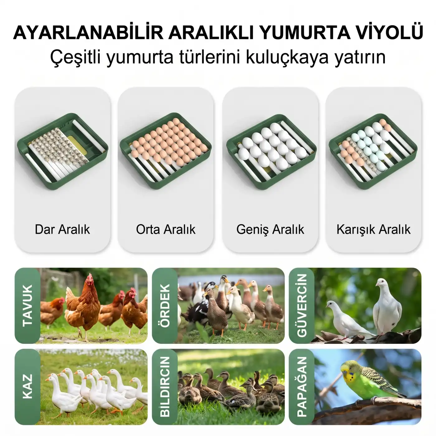 MY110 Yumurta Kapasiteli Tam Otomatik Kuluçka Makinesi Su Pompası ve Yedek Çevirme Motoru Hediyeli