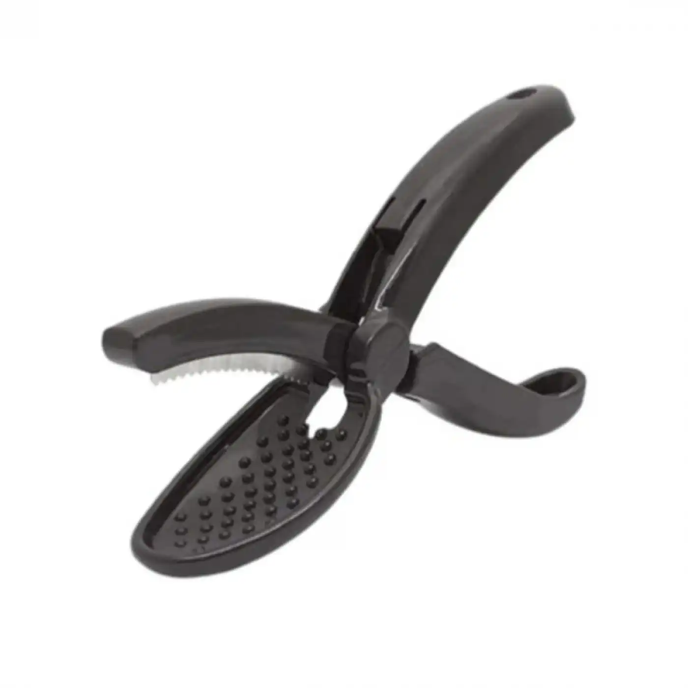 Plastik Kestane Çizeceği