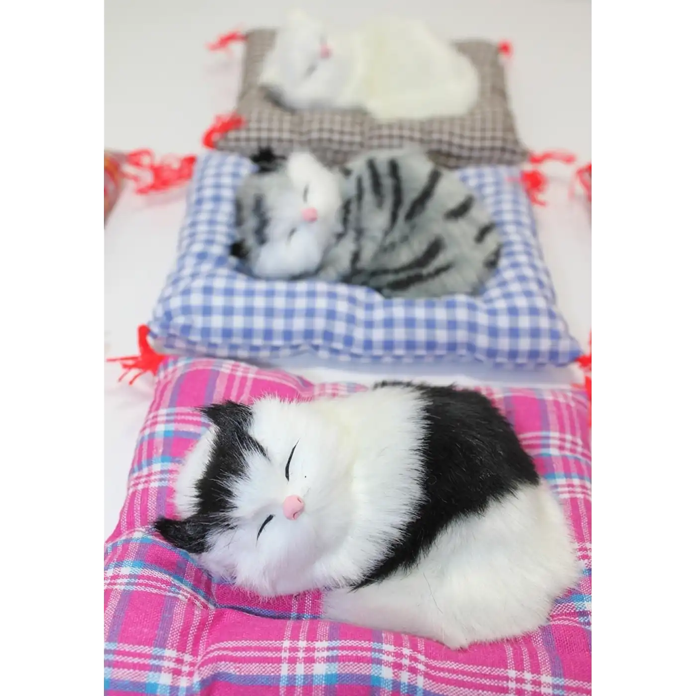 Yastıkta Uyuyan Kedi Sesli Alk24